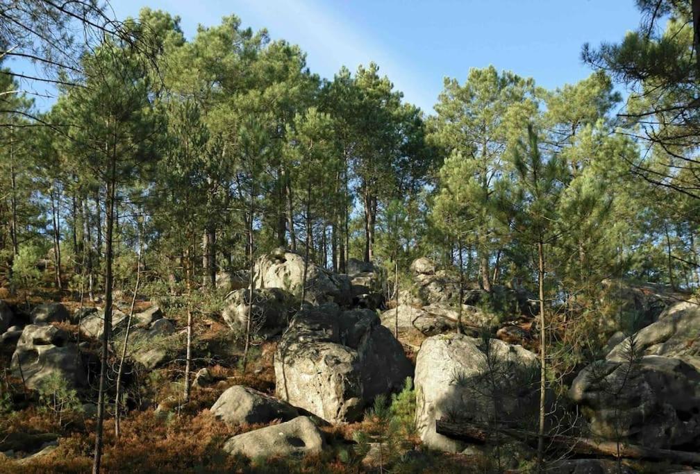 Maison De Campagne - Bois Le Roi 4 Pers Extérieur photo